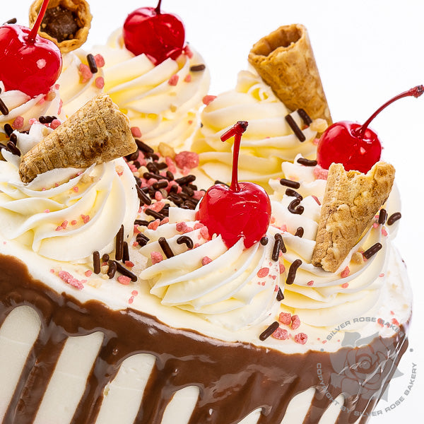 Neapolitan sundae birthday cake in Phoenix, AZ.